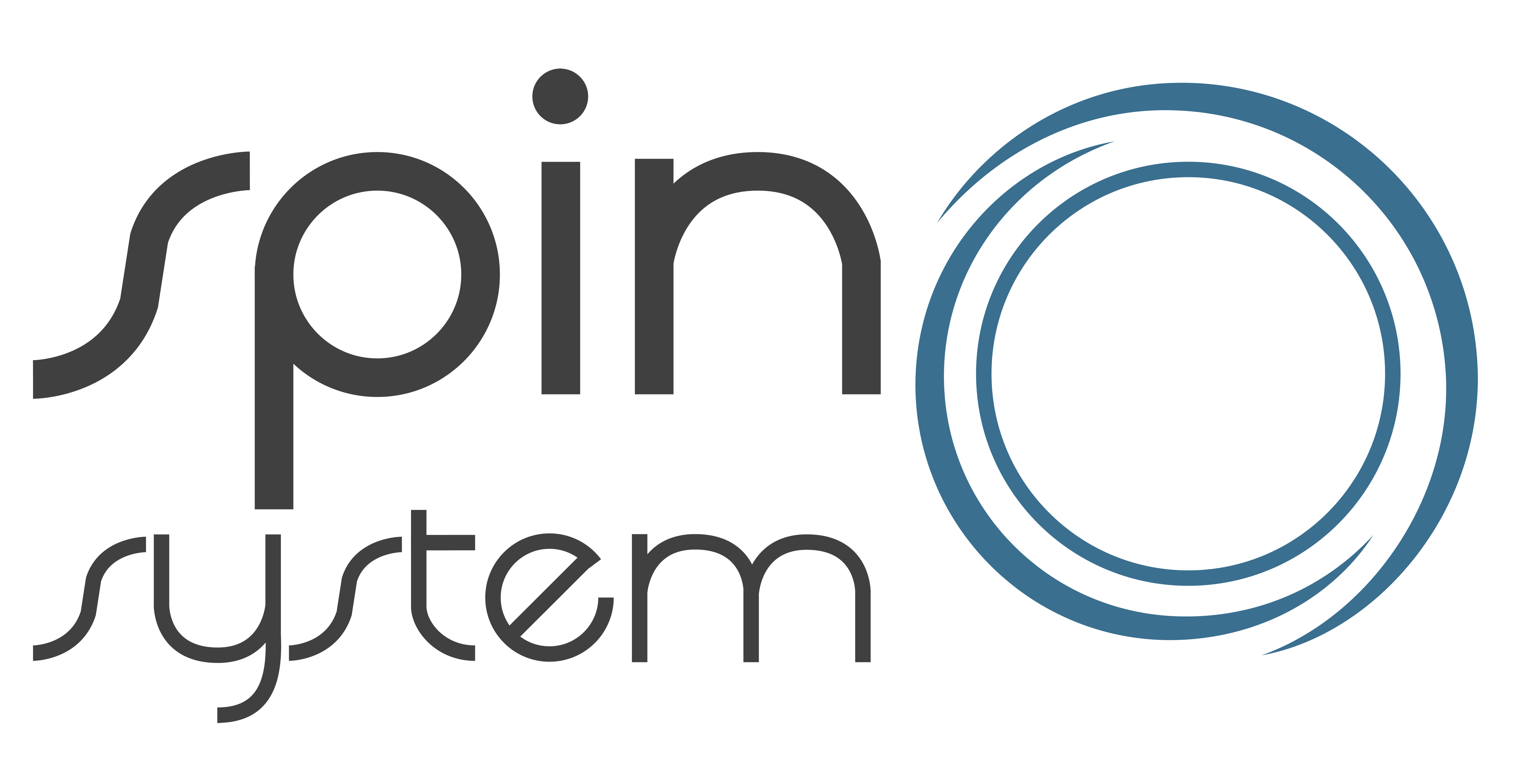 Spin System